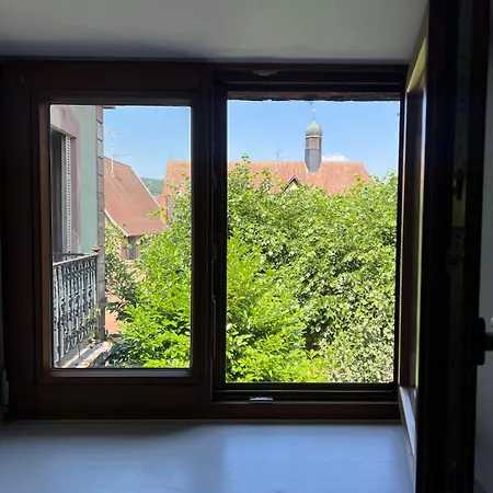 Apartament L'appart De Papa Saverne
