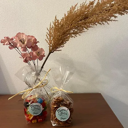 L'appart De Papa Apartament *